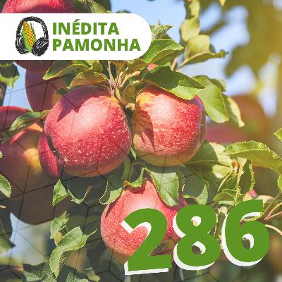 Inédita Pamonha 286 - Maçã proibida