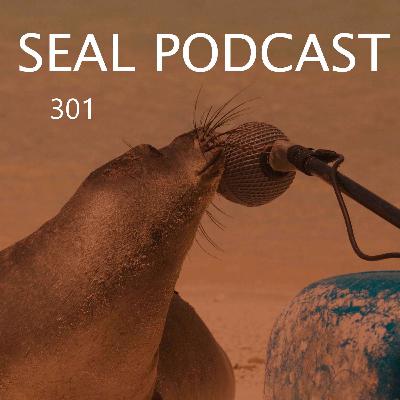 Episode 301 - Merry Christmas