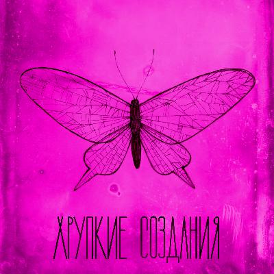 #30 Закуска