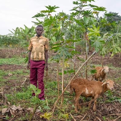 Innovating Ways to Address Poverty in Uganda Innovating Ways to Address Poverty in Uganda