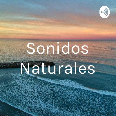 Sonidos de la naturaleza