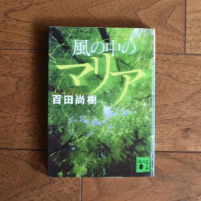 スズメバチ帝国の興亡を描く！小説「風の中のマリア」