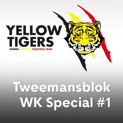 Tweemansblok #29 WK Special #1 Yellow Tigers