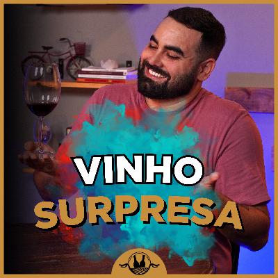 Um dos MELHORES VINHOS QUE PROVEI em 2025! #173
