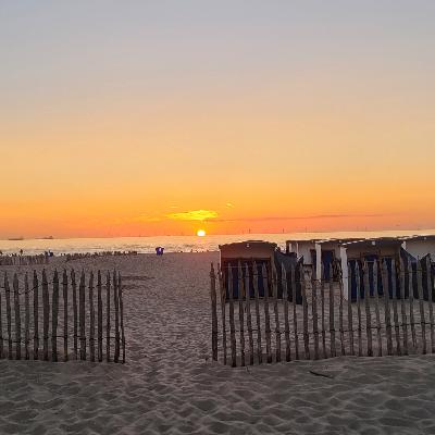 #2 Gastfolge #2 Gastfolge