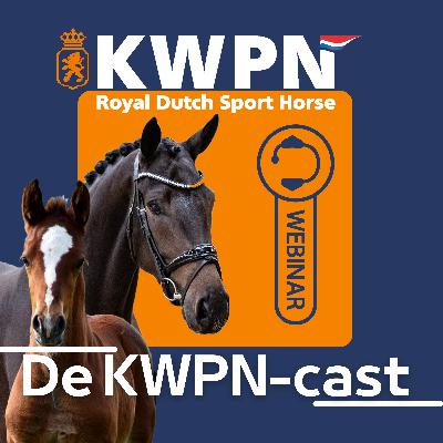 Webinar - Alles over de geboorte van je veulen