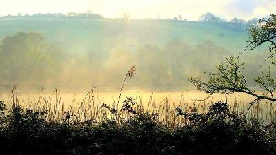Creating roosting islands at Cuskinny Marsh Nature Reserve