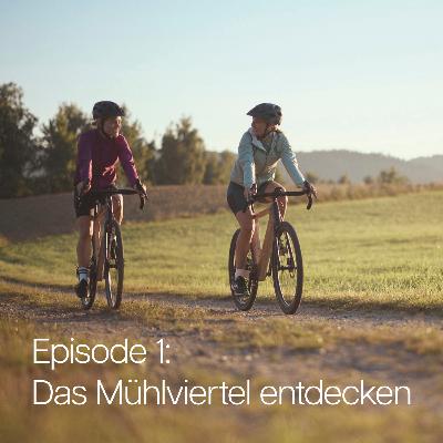 Zwischen Hügeln und Gedanken – Das Mühlviertel entdecken