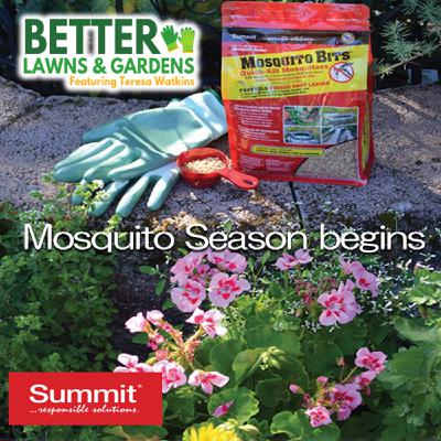 S2 Ep433: Better Lawns and Gardens - Hour 2 Mosquito Season Begins March 6, 2026