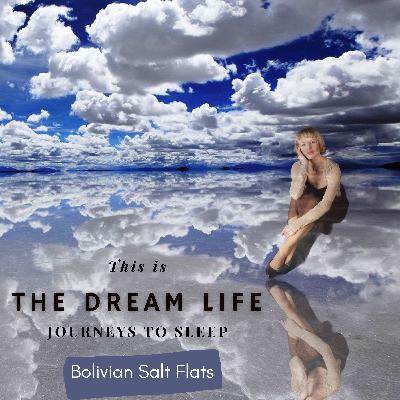 Bolivian Salt Flats Bolivian Salt Flats