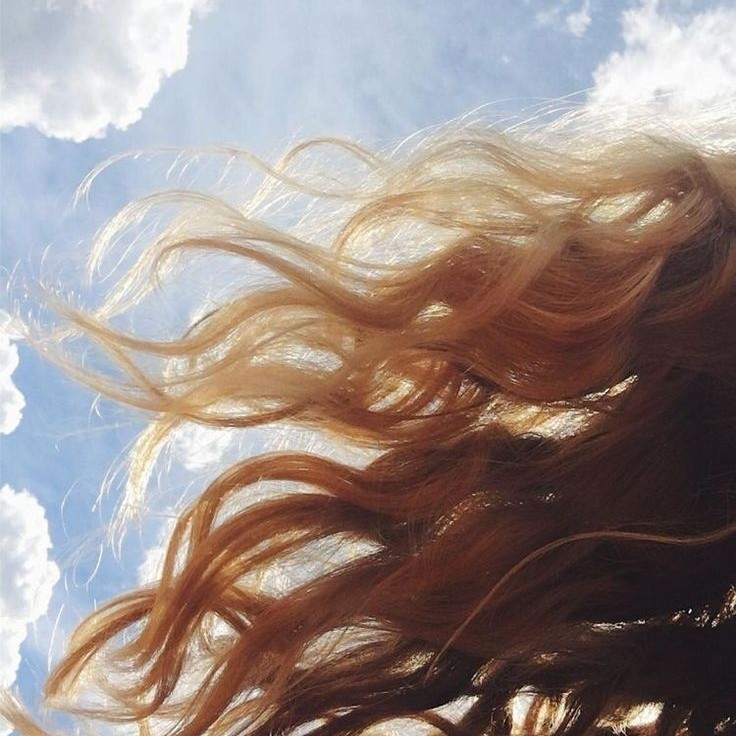 گیسو در باد🌿 گیسو در باد🌿