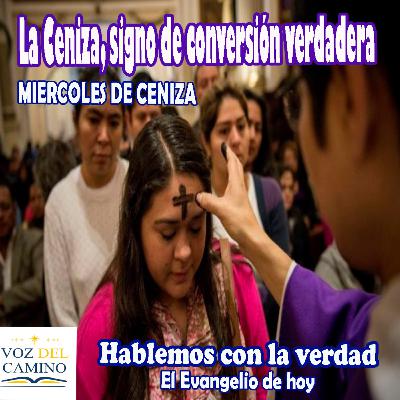 14.FEB.24 MIERCOLES DE CENIZA 14.FEB.24 MIERCOLES DE CENIZA