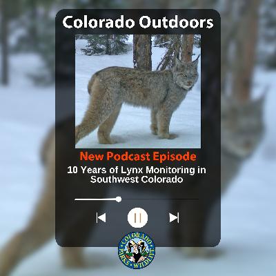 S2E11: 2.11 - 10 years of lynx monitoring in southwest Colorado