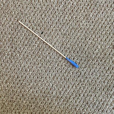 S3E3: Classical dances