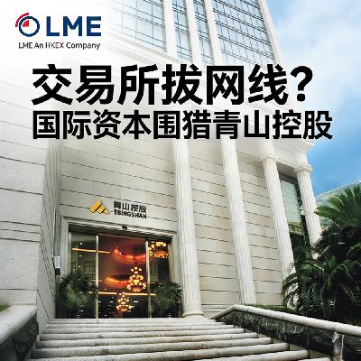 交易所拔网线?国际资本围猎青山控股 交易所拔网线?国际资本围猎青山控股