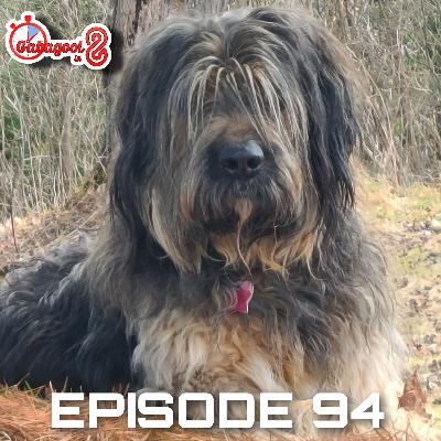 Episode 94