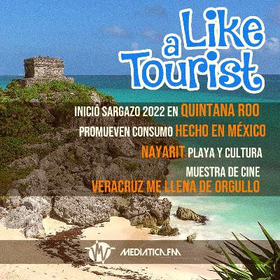 Sargazo 2022 Quintana Roo