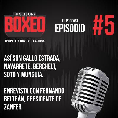 Así son Gallo Estrada, Navarrete, Berchelt, Soto y Munguía.