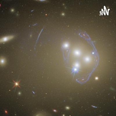 Iniciar una investigación de mercados?