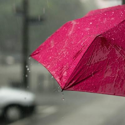 Rain Falling on Umbrella: 8-Hour Tranquil Rain Soundscape for Relaxation, Studying & Sleep