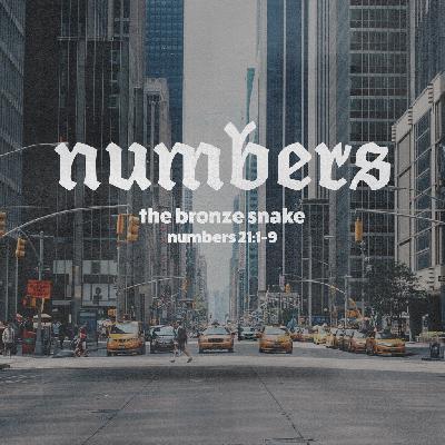 Numbers Part 6: "The Bronze Snake"