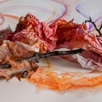 A Forest in Colour with Viviana (episode 21)