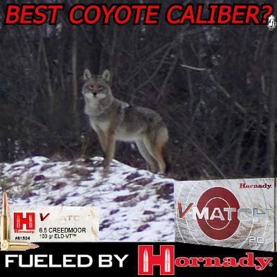 Best Coyote Caliber? | With Seth Swerczek From Hornady