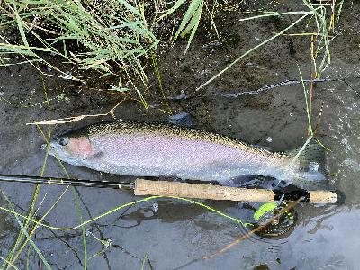 SPX28 To Catch a Steelhead (Audio Only) SPX28 To Catch a Steelhead (Audio Only)
