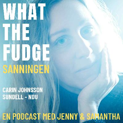 32. Carin Johnsson Sundell - NDU - Fick en massiv hjärnblödning och sprängdes ut i Universum med en känsla av att vara en del av hela skapelsen