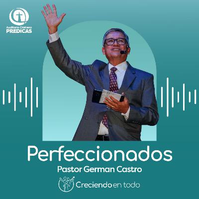 333 - Perfeccionados - Pastor German Castro 333 - Perfeccionados - Pastor German Castro
