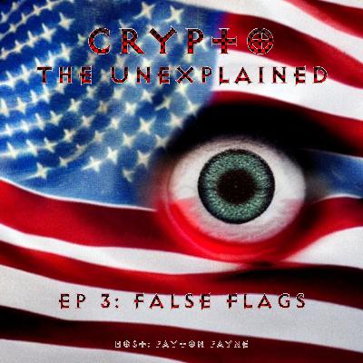 Ep 3: False Flags