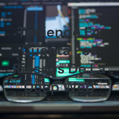 Teniendo en cuenta los riesgos de la deep web