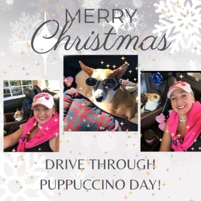 🐶🍦Puppuccino Day 🍦🐶❤️.
