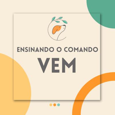 #EP 11 - Ensinando o VEM #EP 11 - Ensinando o VEM