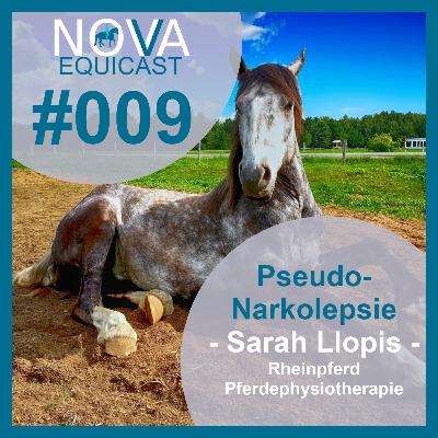 009 Pseudonarkolepsie - Sarah Llopis von Rheinpferd Physiotherapie