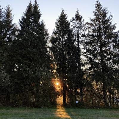 Devon Camping Birdsong 11/04/2025 06:00 Devon Camping Birdsong 11/04/2025 06:00