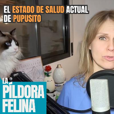 590. El ESTADO DE SALUD actual de PUPUSITO 590. El ESTADO DE SALUD actual de PUPUSITO