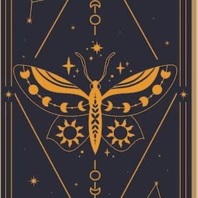 Mariposa dentro de casa Mariposa dentro de casa