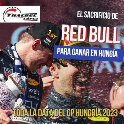 El SACRIFICIO de RED BULL para GANAR en HUNGRÍA El SACRIFICIO de RED BULL para GANAR en HUNGRÍA