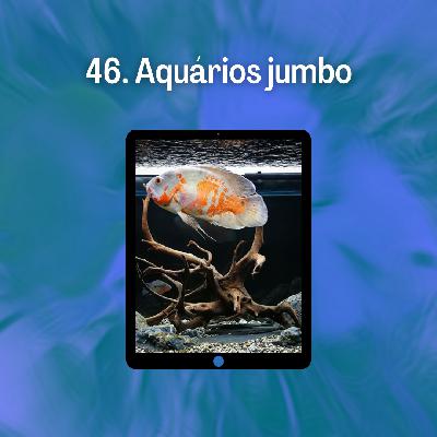 46. Aquários jumbo 46. Aquários jumbo