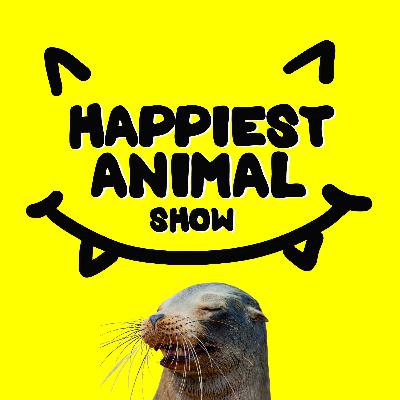 Animals Named After Other Animals (with naturalist Morgan Wittmer)