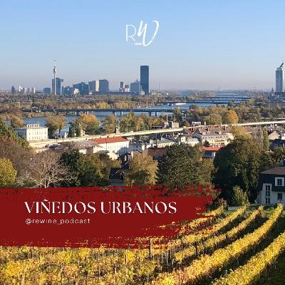 #216. Viñedos urbanos #216. Viñedos urbanos