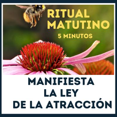 ATRAE LO IMPOSIBLE | 🧲 Afirmaciones + Ley de la Atraccion, en 3 pasos Posteado hace 10 horas