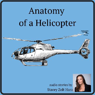 Welcome to Anatomy of a Helicopter