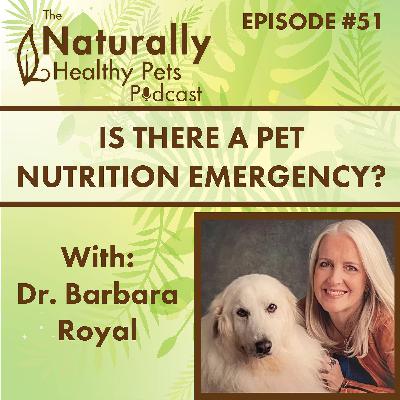 EP 51: Is there a Pet Nutrition Emergency? with Dr. Barbara Royal