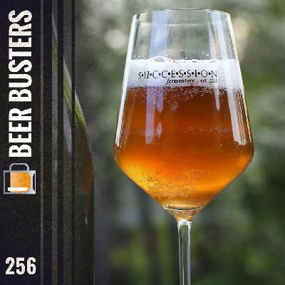 256: Succession Fermentory (or Tangible Connections)