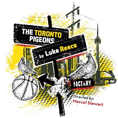 The Toronto Pigeons