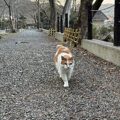 1/24 Redditで35万表示!自宅サーバーと「鉄骨ヒートシンク」が世界にウケた話 1/24 Redditで35万表示!自宅サーバーと「鉄骨ヒートシンク」が世界にウケた話