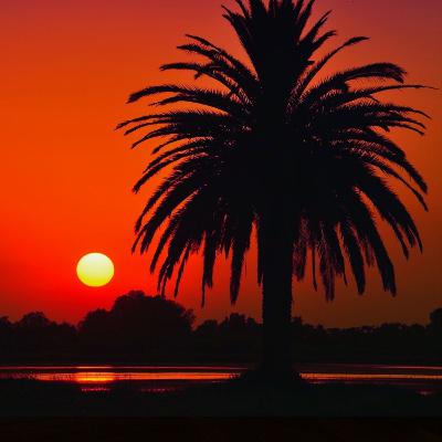 DORMIR : Balade orientale à Essaouira- Hypnose puissante vers le Sommeil Profond DORMIR : Balade orientale à Essaouira- Hypnose puissante vers le Sommeil Profond