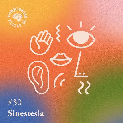Arquivo #162 - Pílulas: Sinestesia